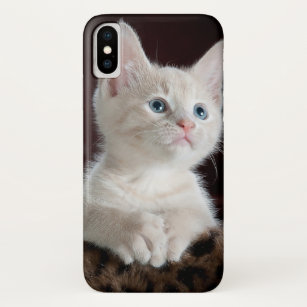 Weißer Miezekatze-Kätzchen-Katze iPhone Kasten Case-Mate iPhone Hülle
