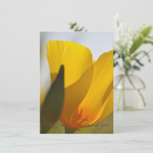 Weißer Mohn Dankeskarte (Stehend Vorderseite)