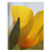 Weißer Mohn Notizblock (Vorderseite)