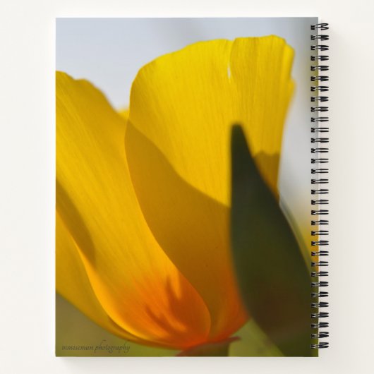 Weißer Mohn Notizblock (Rückseite)