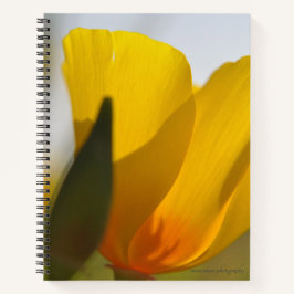 Weißer Mohn Notizblock