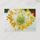 Weißer Mohn Visitenkarte (Rückseite)