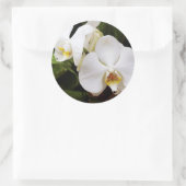 Weißer Mond Orchid (Phalaenopsis Aphrodite) Runder Aufkleber (Tasche)