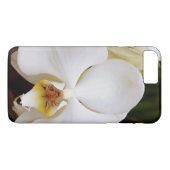 Weißer Mondorchid (Phalaenopsis Aphrodite) Case-Mate iPhone Hülle (Rückseite (Horizontal))