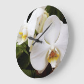 Weißer Mondorchid (Phalaenopsis Aphrodite) Große Wanduhr (Winkel)