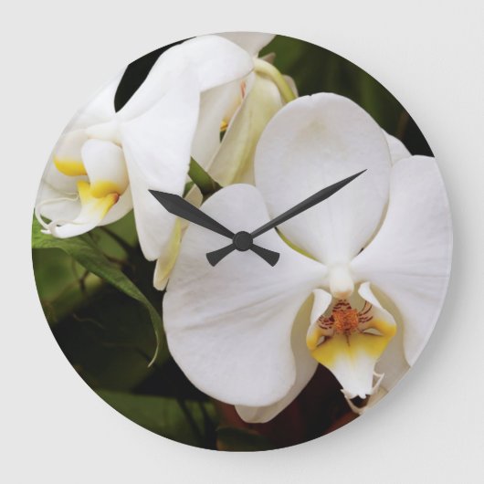 Weißer Mondorchid (Phalaenopsis Aphrodite) Große Wanduhr (Vorderseite)