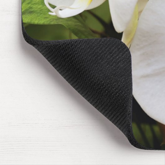 Weißer Mondorchid (Phalaenopsis Aphrodite) Mousepad (Ecke)