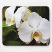 Weißer Mondorchid (Phalaenopsis Aphrodite) Mousepad (Vorne)