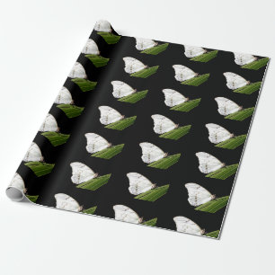Weißer Morpho-Schmetterling Geschenkpapier