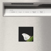 Weißer Morpho-Schmetterling Magnet (In Situ (Geschirrspüler))