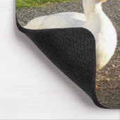 Weißer Muscovy-Ente Drake Mousepad (Ecke)