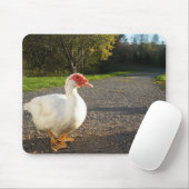 Weißer Muscovy-Ente Drake Mousepad (Mit Mouse)