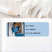 Weißer Nacktfisch im Schnee - Original Foto (Insitu)