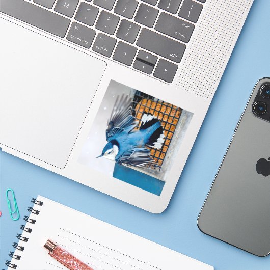 Weißer Nacktfisch im Schnee - Original Foto Aufkleber (Laptop mit iPhone)