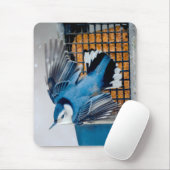 Weißer Nacktfisch im Schnee - Original Foto Mousepad (Mit Mouse)