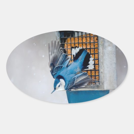 Weißer Nacktfisch im Schnee - Original Foto Ovaler Aufkleber (Vorderseite)