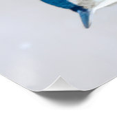 Weißer Nacktfisch im Schnee - Original Foto Poster (Ecke)