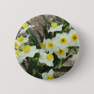 Weißer Narzissen-Blumen-Knopf Button