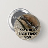 Weißer Nasen-Syndrom-Knopf Button (Vorne & Hinten)