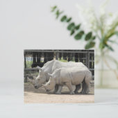 Weißer Nashorn Postkarte (Stehend Vorderseite)