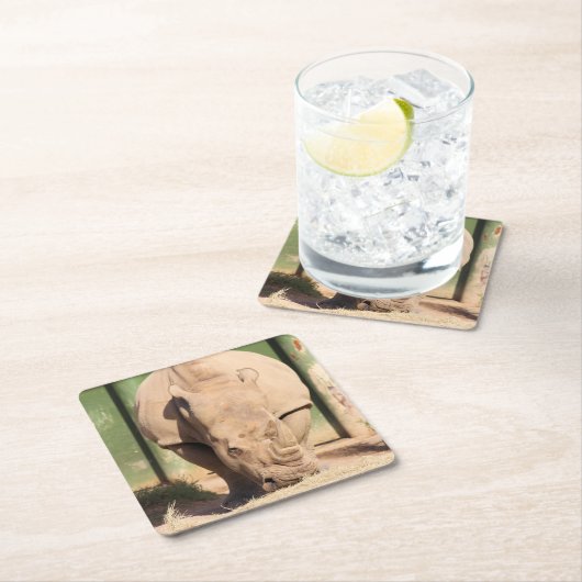 Weißer Nashorn Rechteckiger Pappuntersetzer (Vor Ort)