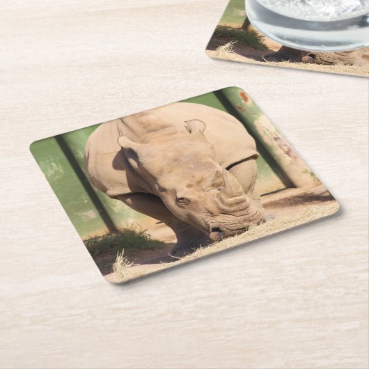 Weißer Nashorn Rechteckiger Pappuntersetzer (angewinkelt)