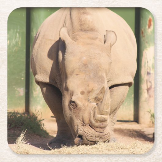 Weißer Nashorn Rechteckiger Pappuntersetzer (Vorderseite)