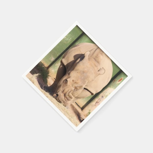 Weißer Nashorn Serviette (Ecke)