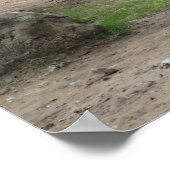 Weißer Nördlicher Rhinos gefährdet Poster (Ecke)