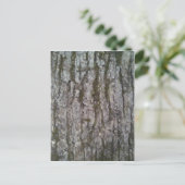 Weißer Oak Tree Bark Postkarte (Stehend Vorderseite)
