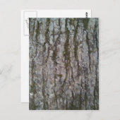 Weißer Oak Tree Bark Postkarte (Vorne/Hinten)