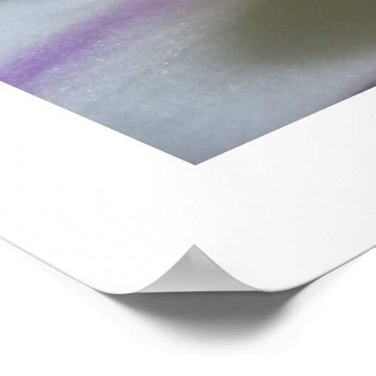 Weißer Orchester 8 Phalaenopsis Poster Kunstdrucke (Ecke)