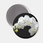 Weißer Orchid Blossom Magnet (Vorderseite/Rückseite)