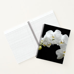 Weißer Orchid Blossom Notizblock