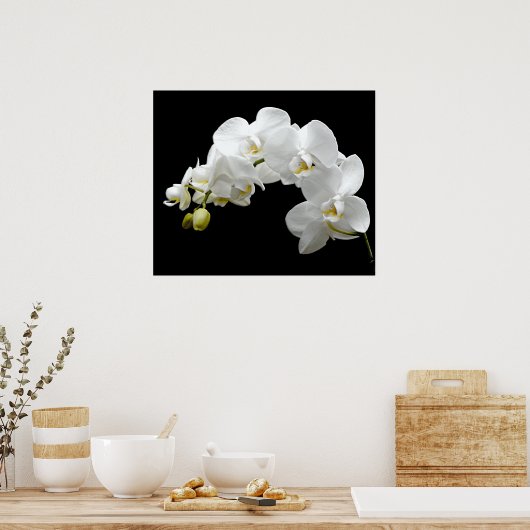 Weißer Orchid Blossom Poster (Küche)