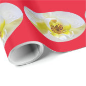 Weißer Orchid Blossom Wassertropfen Geschenkpapier (Rolleneckpunkt)