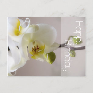 Weißer Orchid Geburtstag Postkarte