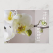 Weißer Orchid Geburtstag Postkarte (Vorderseite)