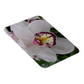 Weißer Orchid II Elegant Magnet (Rechte Seite)