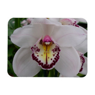Weißer Orchid II Elegant Magnet