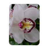 Weißer Orchid II Elegant Magnet (Vertikal)