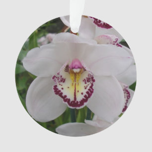 Weißer Orchid II Elegant Ornament