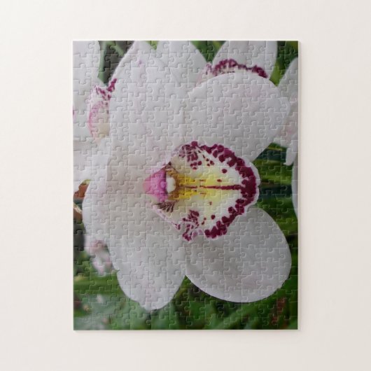 Weißer Orchid II Elegant Puzzle (Vertikal)