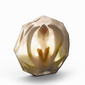 Weißer Orchid-Print-Foto Fotoblock (Links)