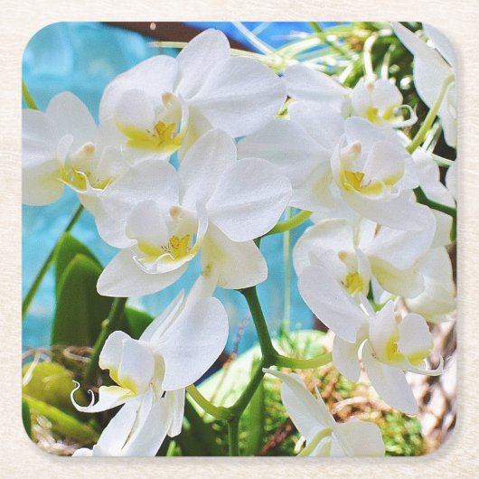 Weißer Orchideenpapier-Untersetzer Rechteckiger Pappuntersetzer (Vorderseite)