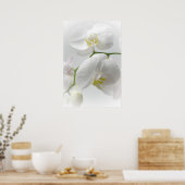 Weißer Orchideenprint Poster (Küche)
