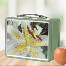 Weißer Orientalischer Lilie mit gelber Sternexplos