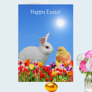 Weißer Osterhase, Tulpen & Küken auf Himmelblau