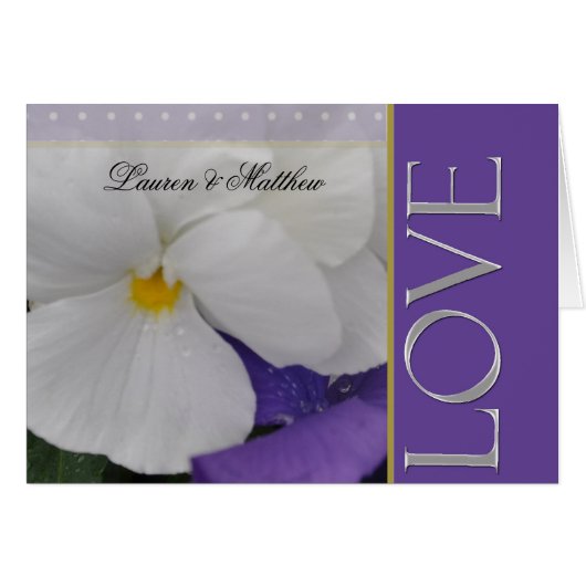 Weißer Pansy (Vorderseite (Horizontal))