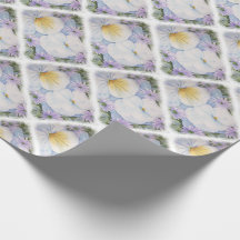 WEISSER PANSY-PARTY